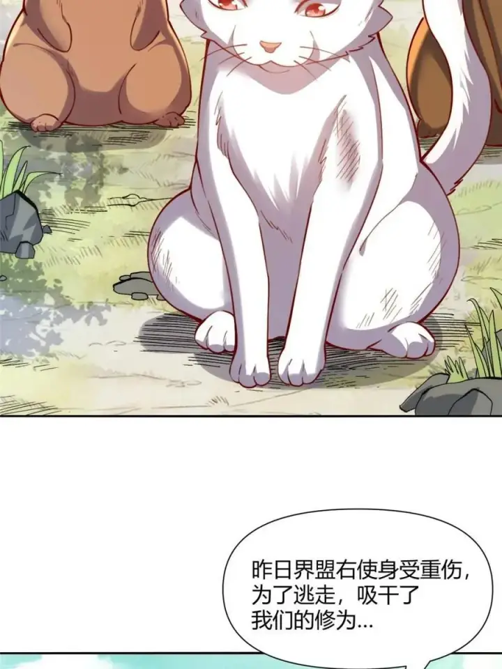 《原来我是修仙大佬》第464话 464话图35
