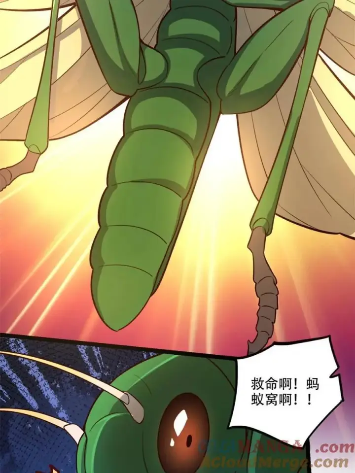 《原来我是修仙大佬》第562话 562话图43