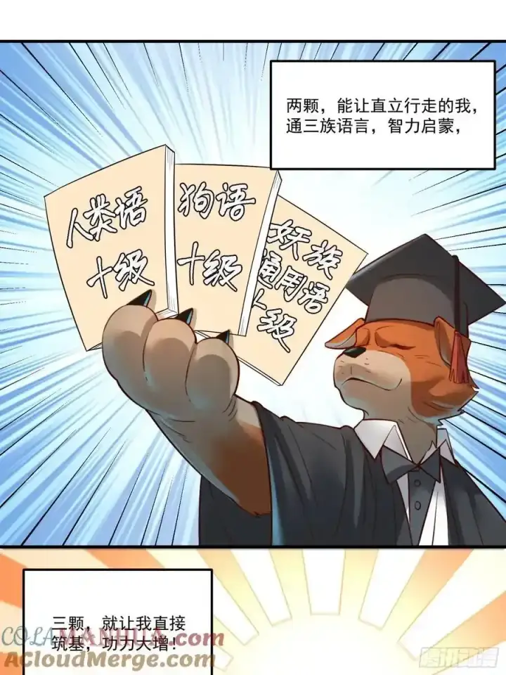 《原来我是修仙大佬》351话图35