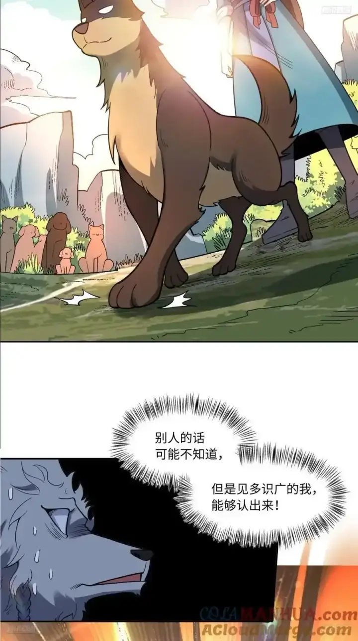 《原来我是修仙大佬》355话图5