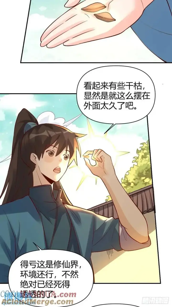 《原来我是修仙大佬》318话图29