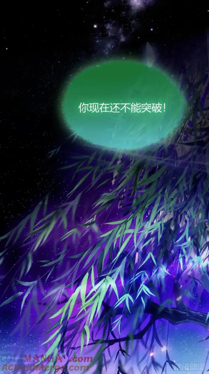《原来我早就无敌了》第80话 我这么多年白修了？图35