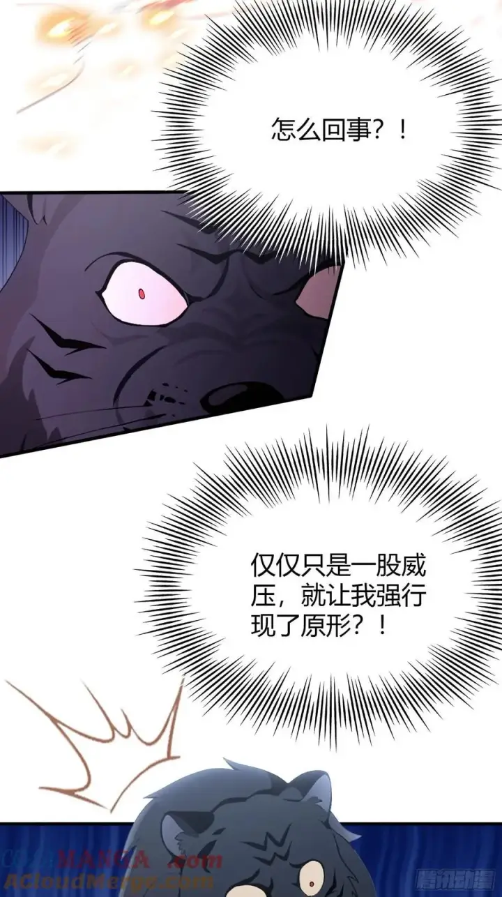 《原来我早就无敌了》第99话 你惹错人了！图43
