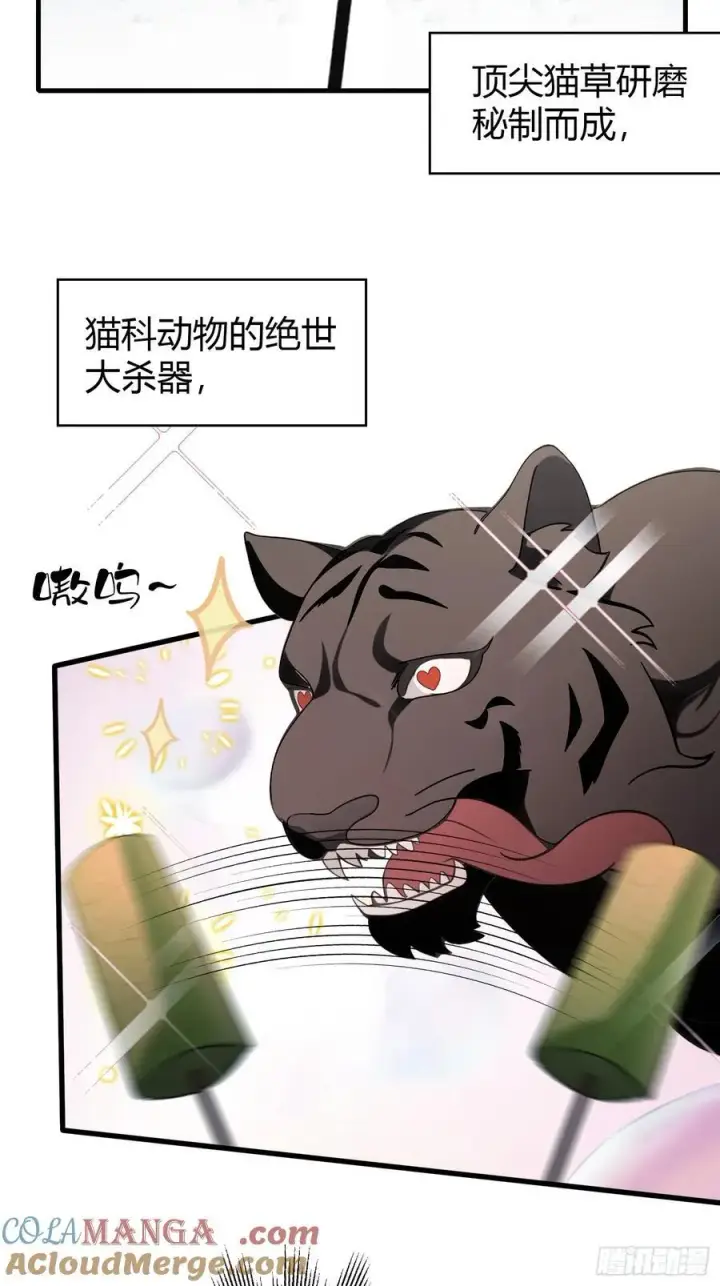 《原来我早就无敌了》第102话 老虎也是猫？图23