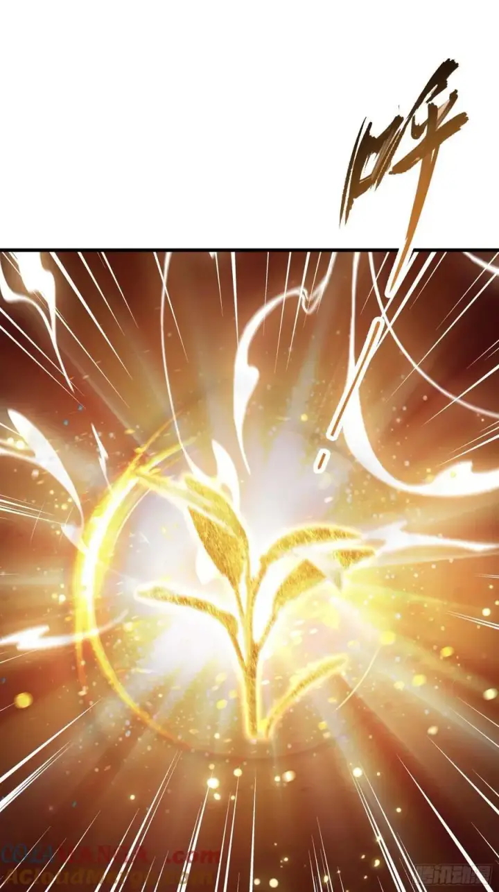 《原来我早就无敌了》第175话 叶先生，无需多言！图34
