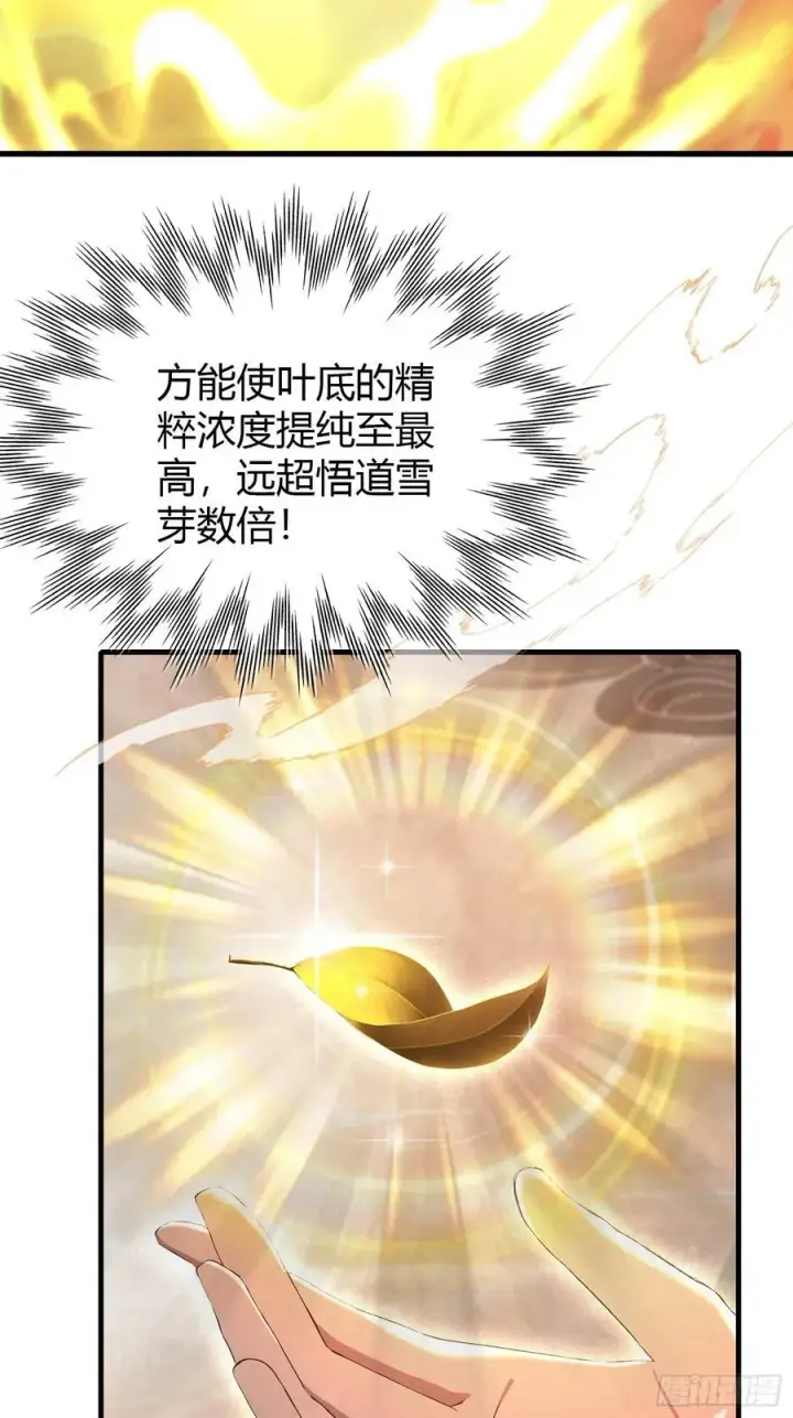 《原来我早就无敌了》第205话 看学历吗，我新东方图14