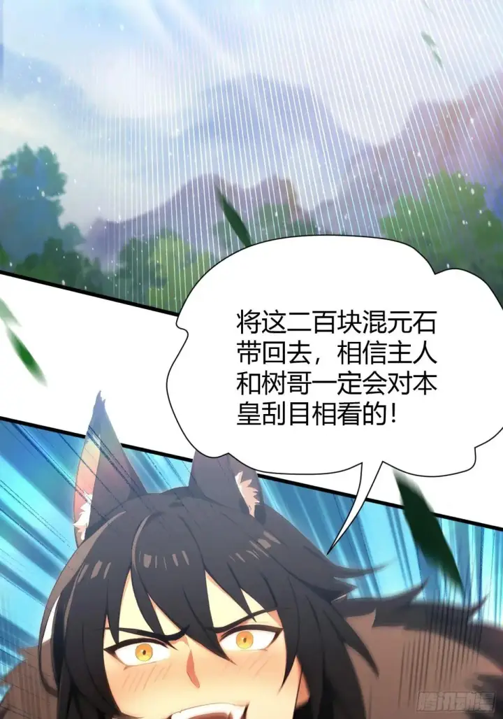 《原来我早就无敌了》第224话 天赋型剑修？图12