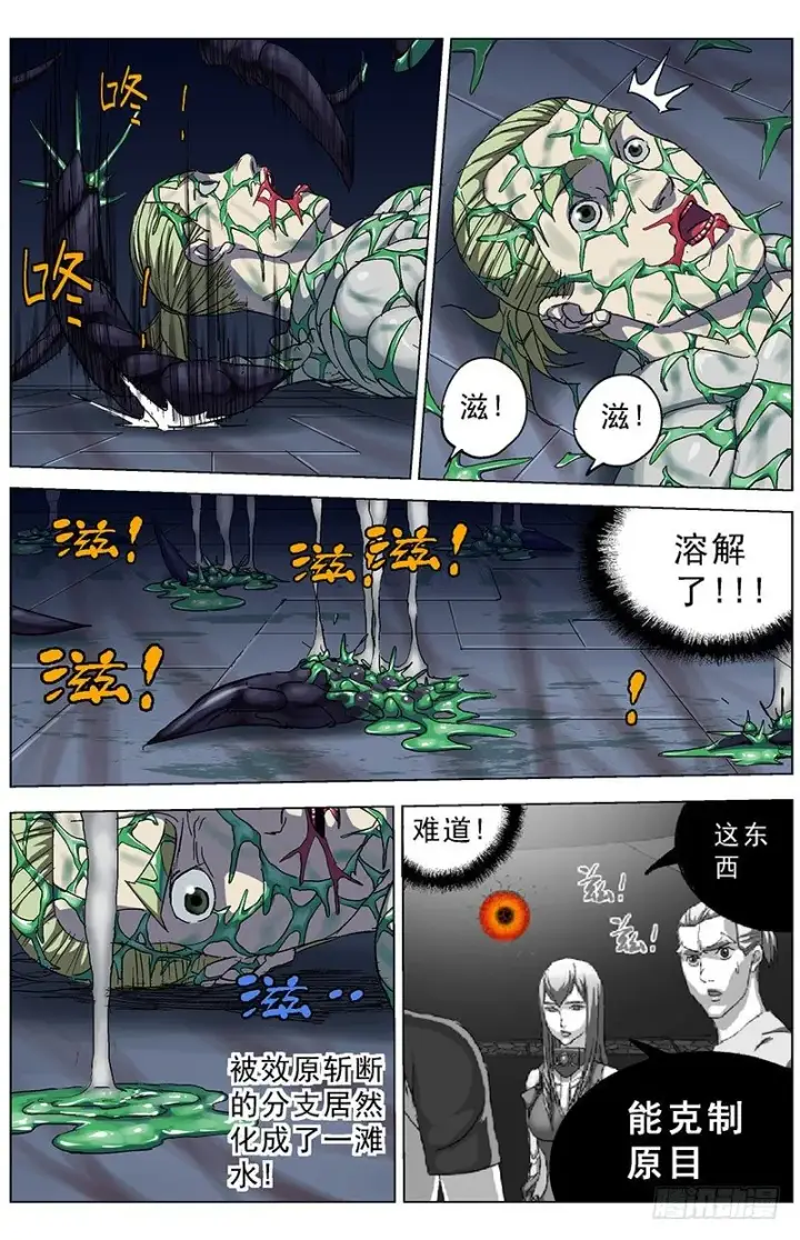 《原目》181秒杀图3