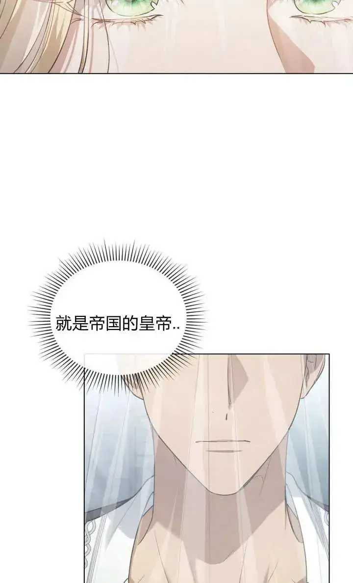 《与善良的仇人政治联姻》第1话图45