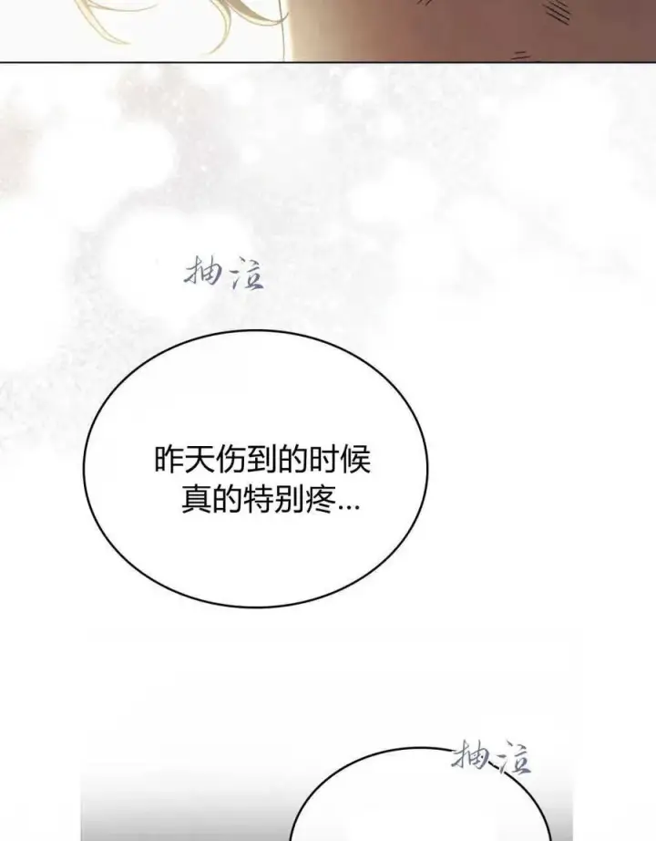 《与善良的仇人政治联姻》第40话图88