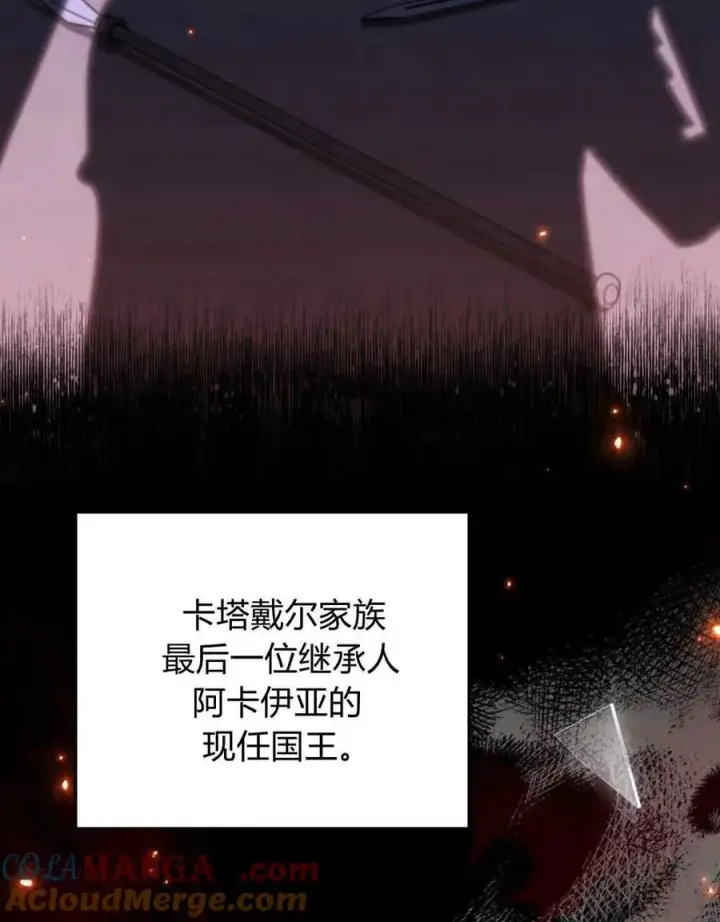 《与善良的仇人政治联姻》第41话图45
