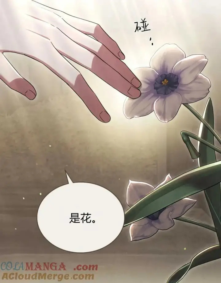 《与善良的仇人政治联姻》第42话图65