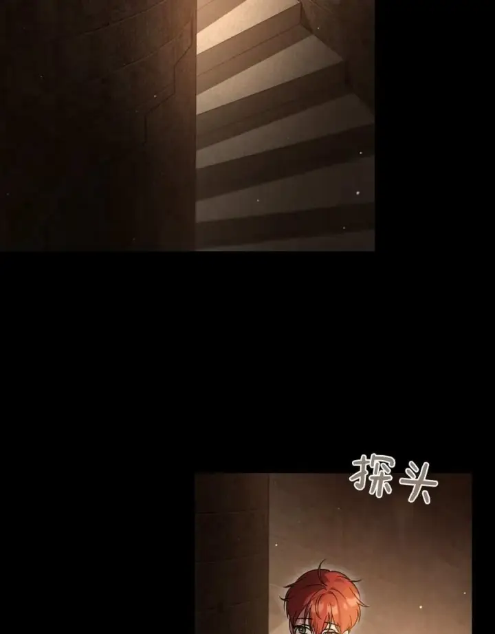 《与善良的仇人政治联姻》第51话图2