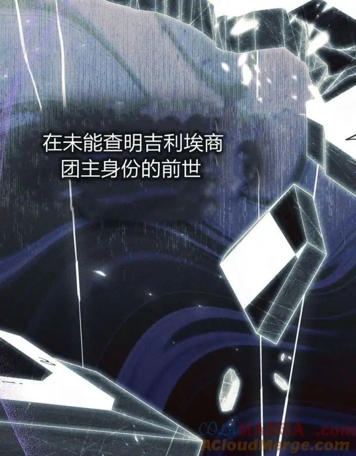 《与善良的仇人政治联姻》第56话图41