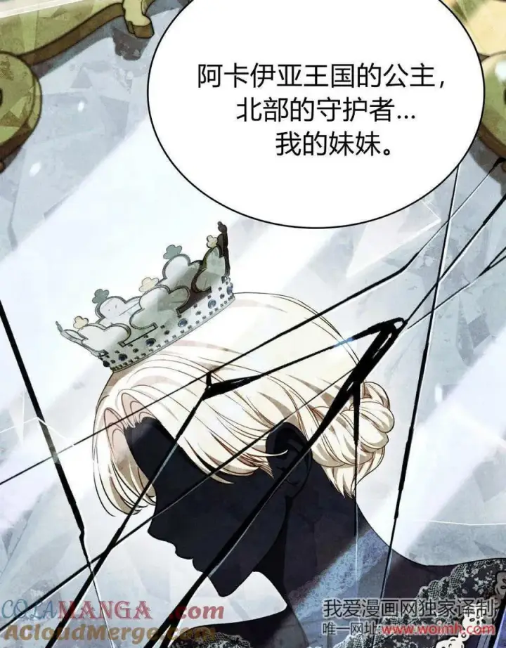 《与善良的仇人政治联姻》第63话图13