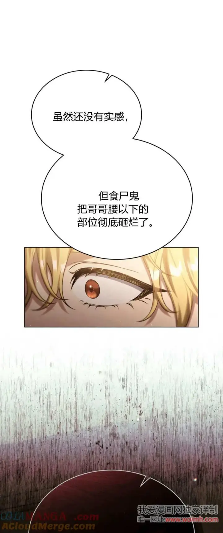 《与善良的仇人政治联姻》第69话图31