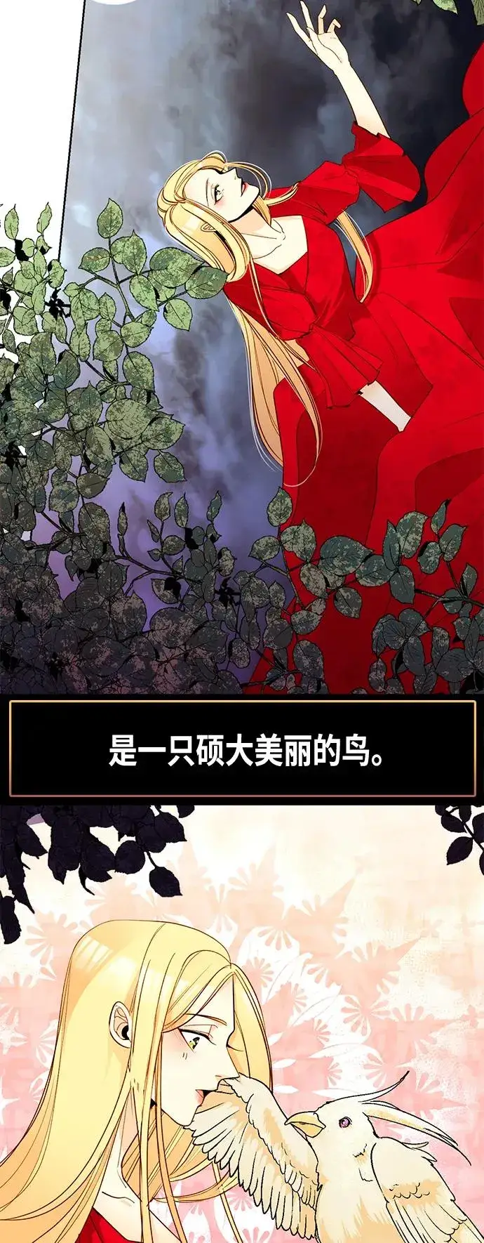《再婚皇后》【免费】 特别篇（再婚皇后剧情回顾：从离婚到再婚）图11