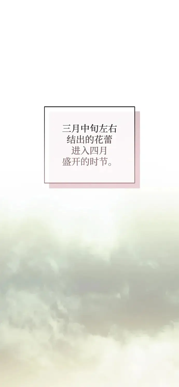 《憎恨我的丈夫失忆了》外传 2话图2