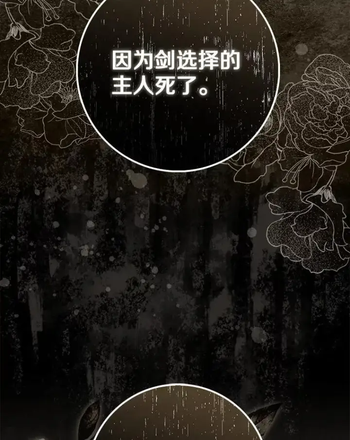 《占卜的公女》47.暗算失败图153