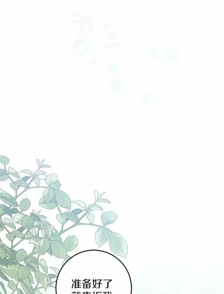 《占卜的公女》48.如愿图121