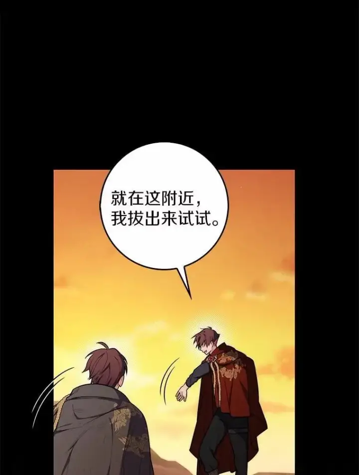 《占卜的公女》48.如愿图26