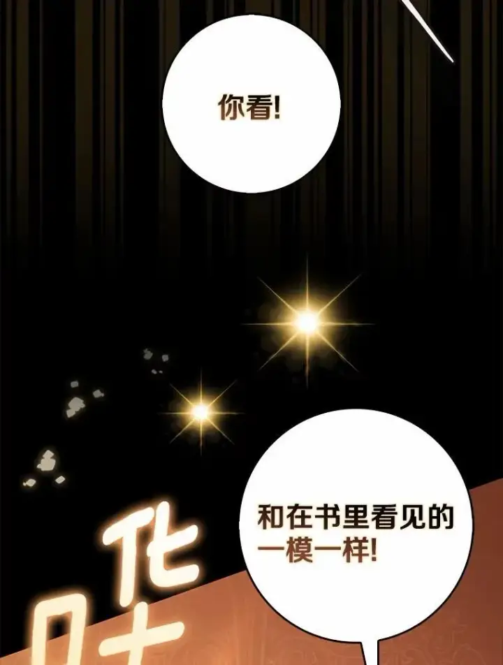 《占卜的公女》48.如愿图28