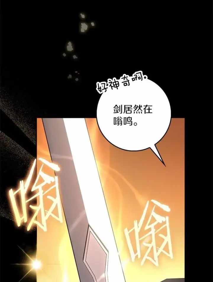 《占卜的公女》48.如愿图31