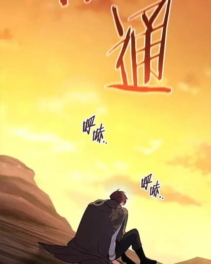 《占卜的公女》48.如愿图61