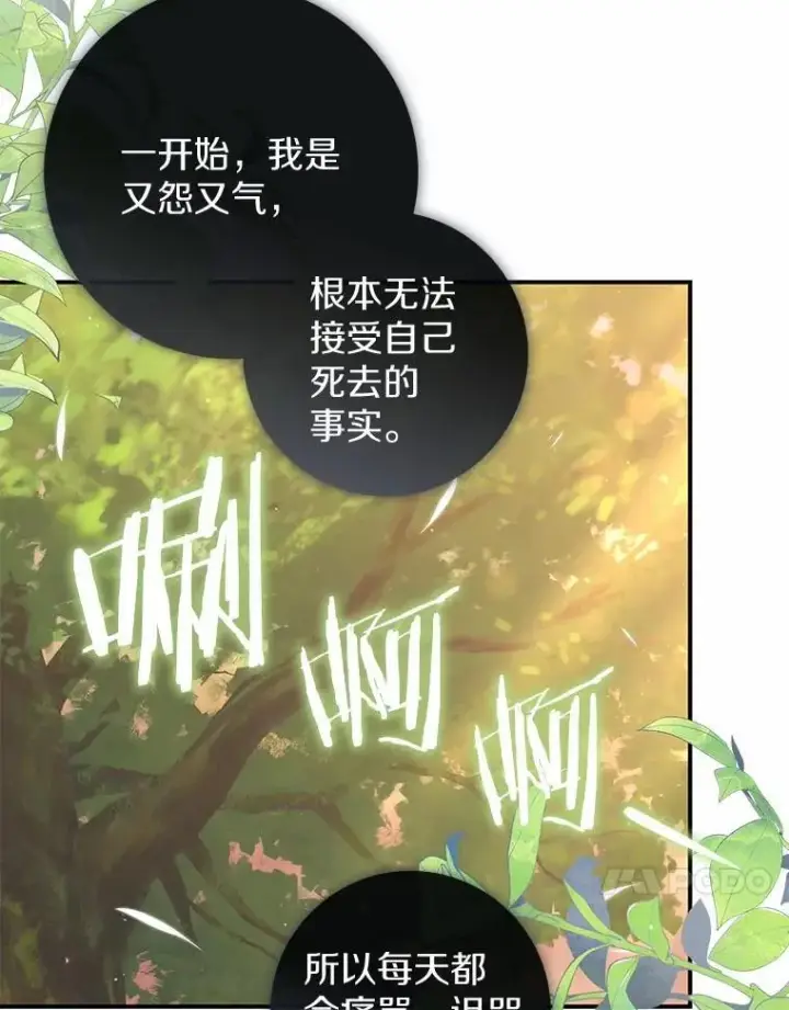 《占卜的公女》48.如愿图82