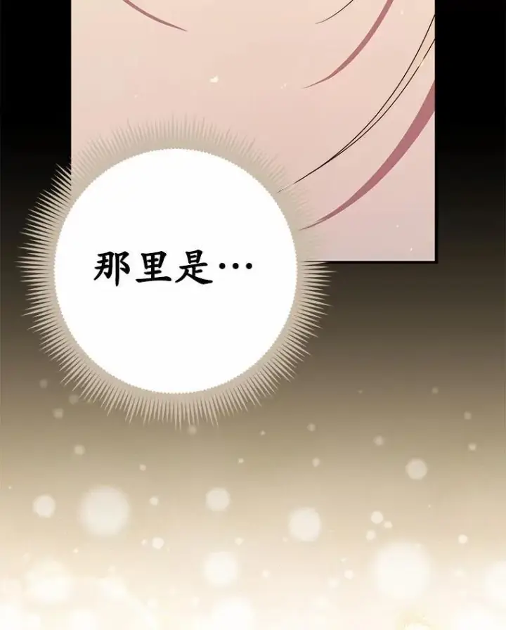 《占卜的公女》52.获胜者不是您图132
