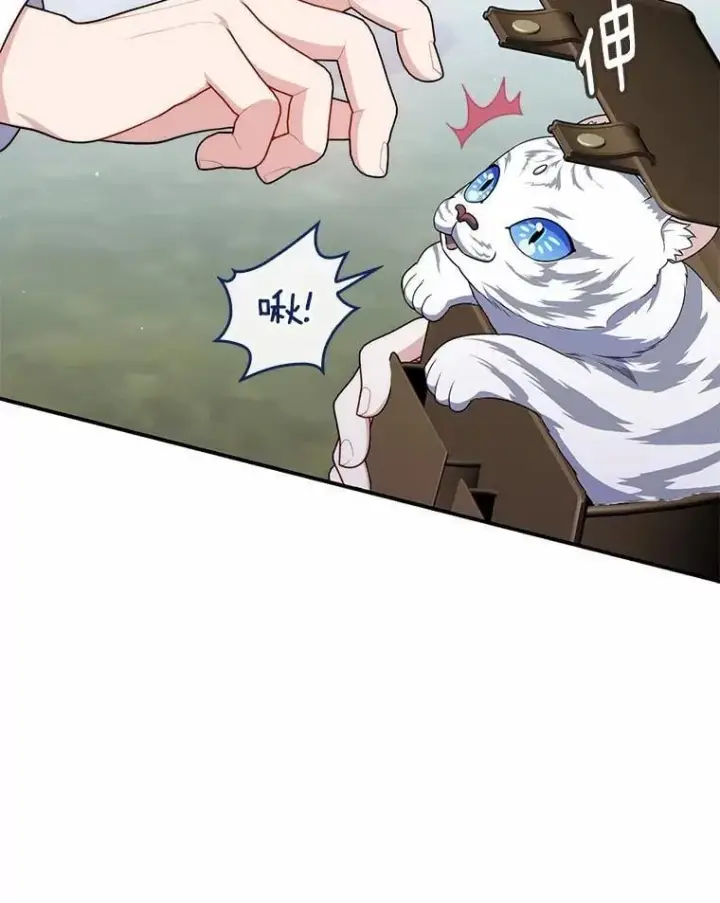《占卜的公女》52.获胜者不是您图58