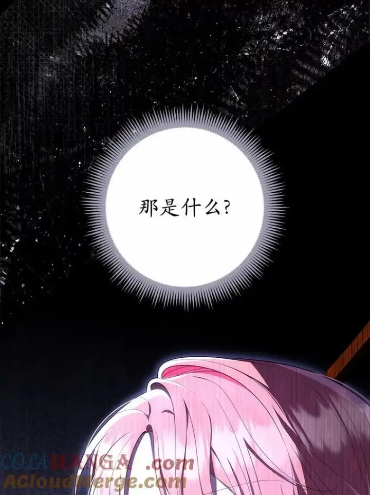 《占卜的公女》53.不想再次变成孤儿图121