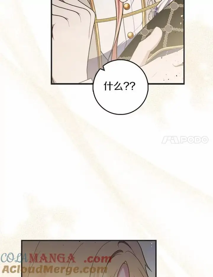 《占卜的公女》53.不想再次变成孤儿图41