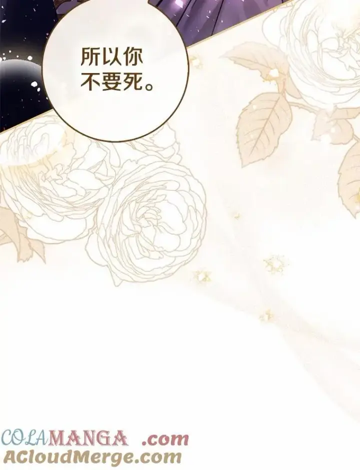 《占卜的公女》53.不想再次变成孤儿图45