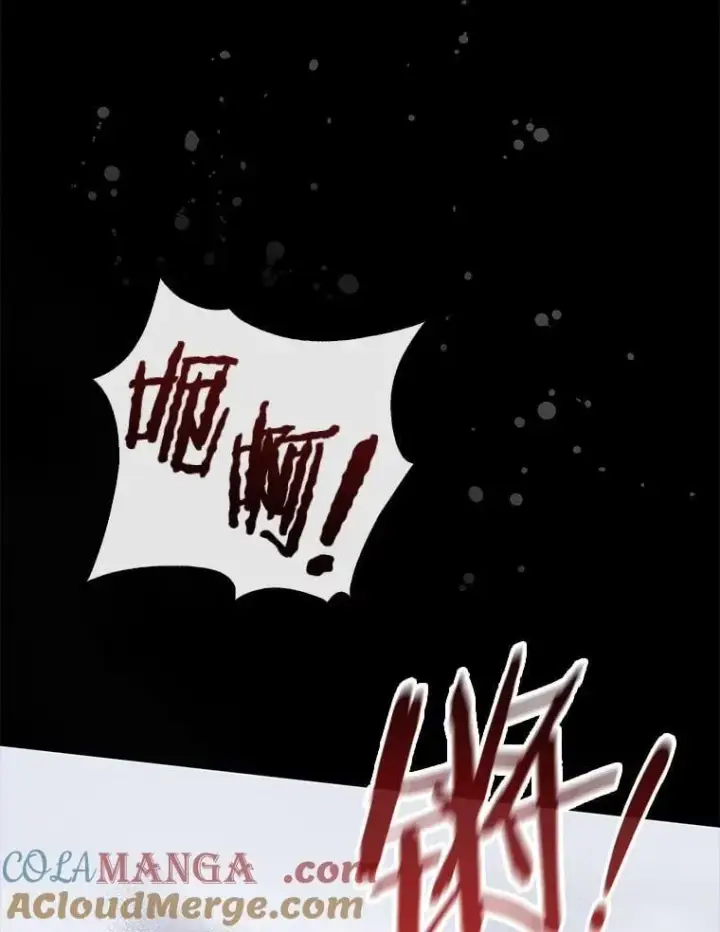《占卜的公女》54.你要袖手旁观吗？图21