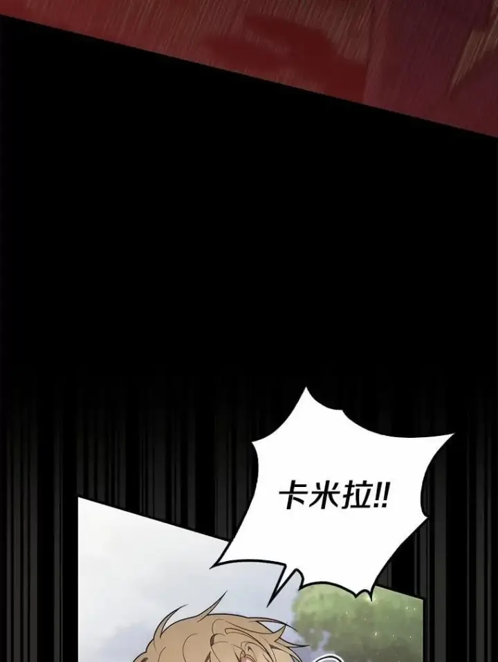 《占卜的公女》54.你要袖手旁观吗？图31