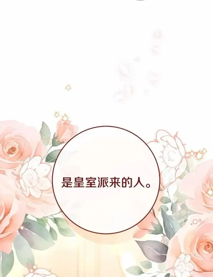 《占卜的公女》55.有人要见您图127