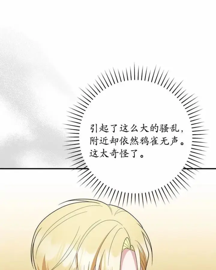 《占卜的公女》55.有人要见您图24