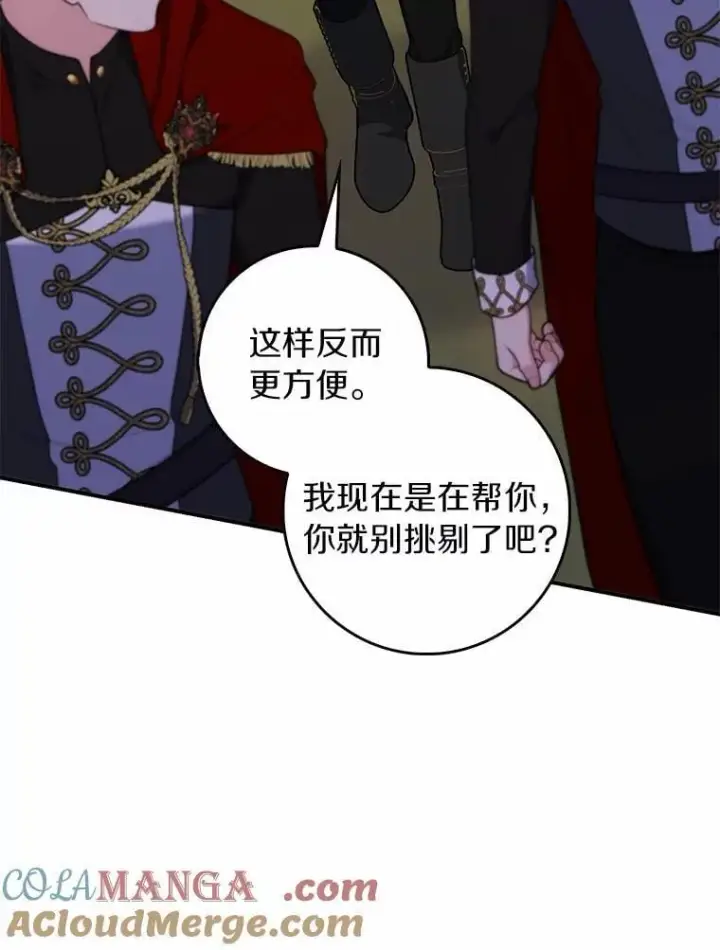 《占卜的公女》55.有人要见您图41