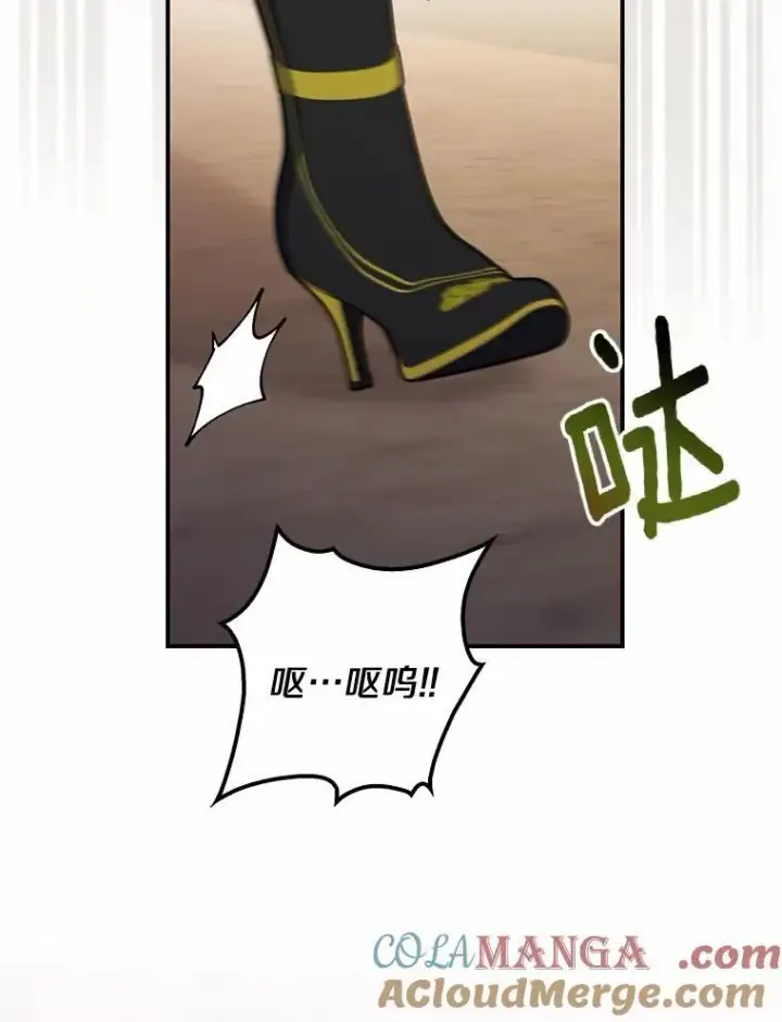 《占卜的公女》55.有人要见您图65