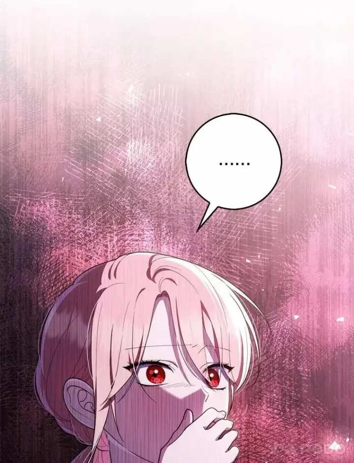 《占卜的公女》55.有人要见您图66