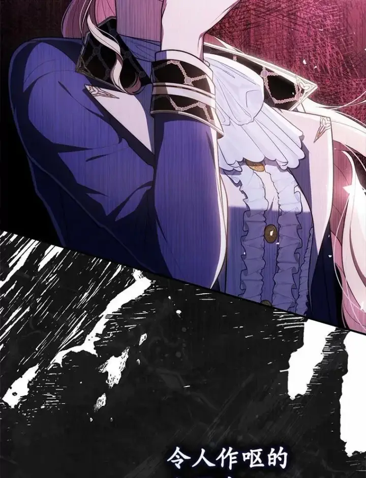 《占卜的公女》55.有人要见您图67