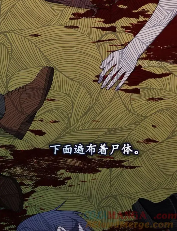 《占卜的公女》55.有人要见您图69