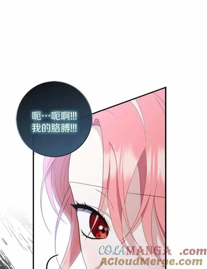 《占卜的公女》55.有人要见您图73