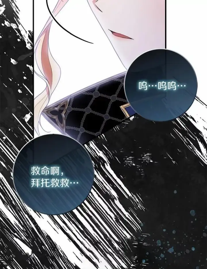 《占卜的公女》55.有人要见您图74