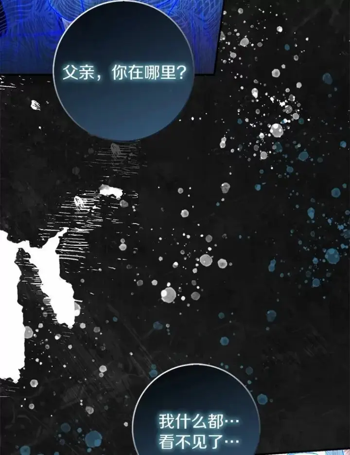 《占卜的公女》55.有人要见您图76