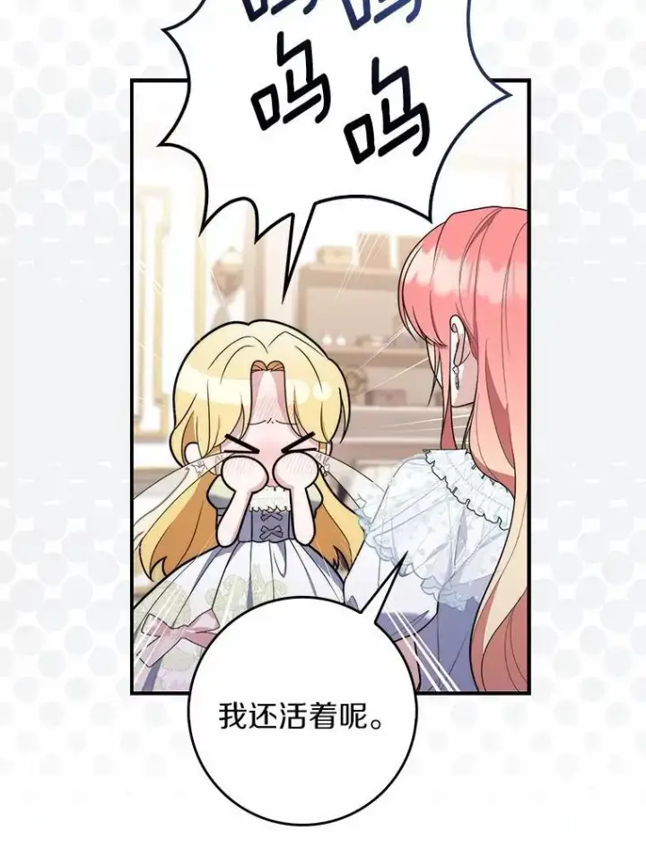 《占卜的公女》55.有人要见您图94