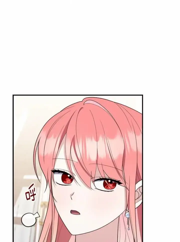 《占卜的公女》55.有人要见您图95