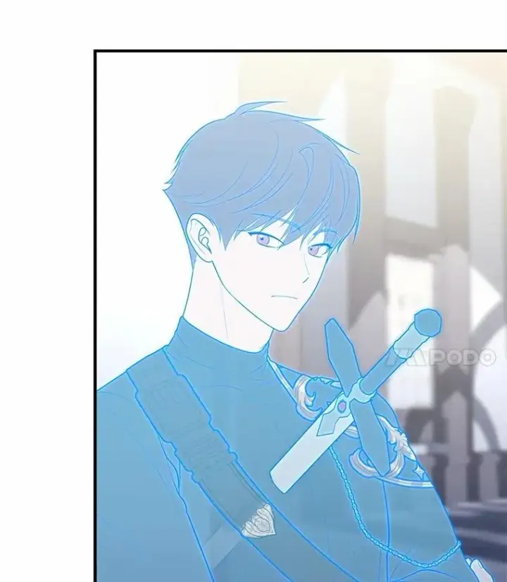 《占卜的公女》58.还真是迟钝图43