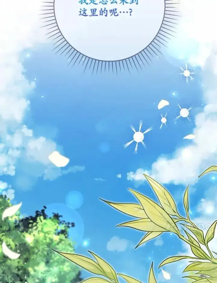 《占卜的公女》61.还有希望图10